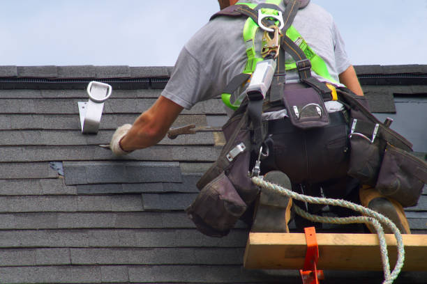 Best Commercial Roofing Services  in Jerseyvle, IL