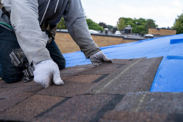 Best Commercial Roofing Services  in Jerseyvle, IL