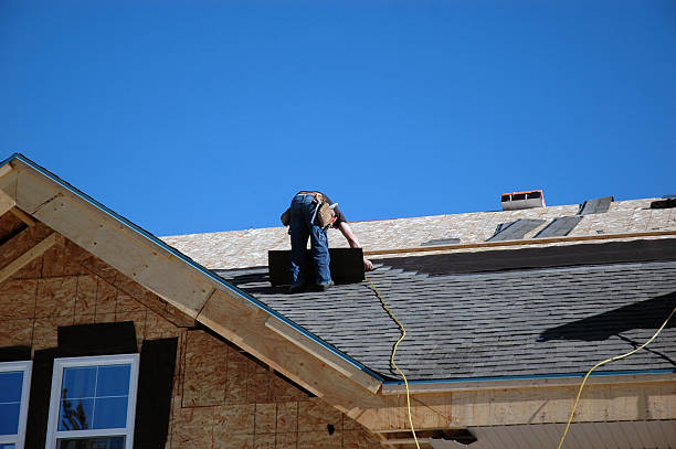 Best Roof Repair Services  in Jerseyvle, IL