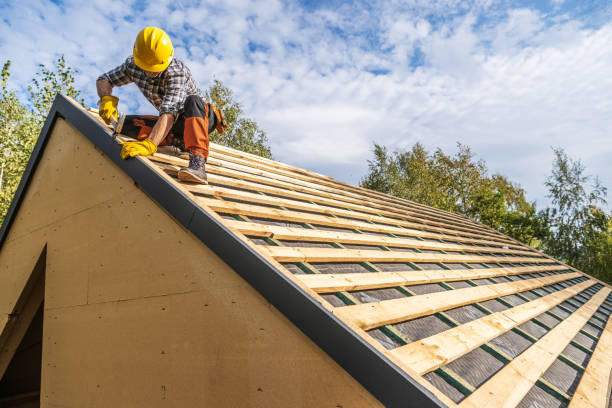Best Roof Maintenance Services  in Jerseyvle, IL