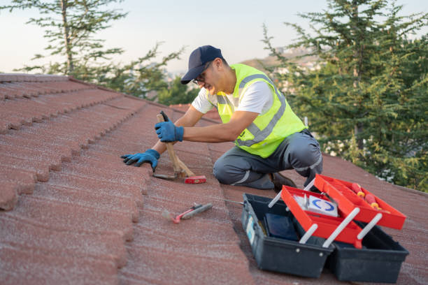 Best Metal Roofing Contractor  in Jerseyvle, IL
