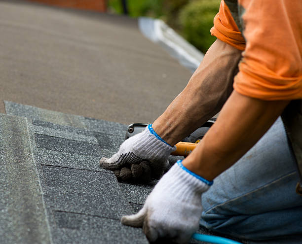 Best Roof Restoration Services  in Jerseyvle, IL