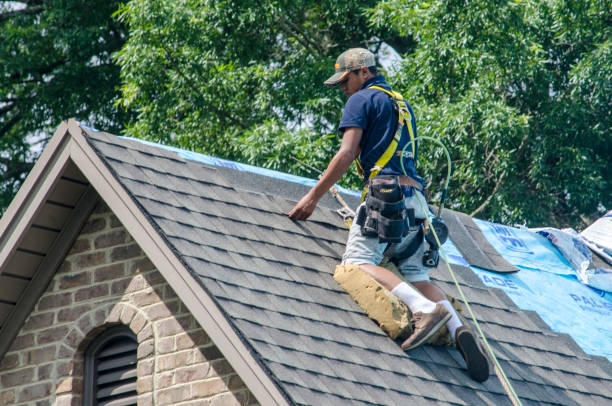Best Metal Roofing Contractor  in Jerseyvle, IL